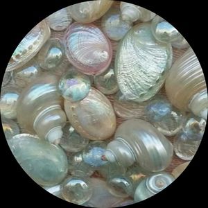 Meet your Posher, Leiah